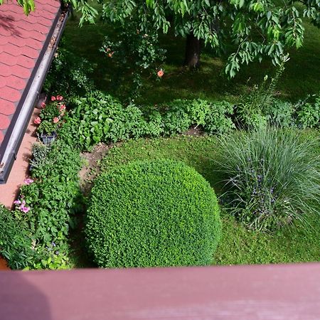 סליסטה דרזניקו Apartment And Rooms Ivancica מראה חיצוני תמונה