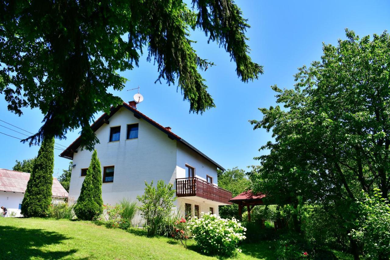סליסטה דרזניקו Apartment And Rooms Ivancica מראה חיצוני תמונה