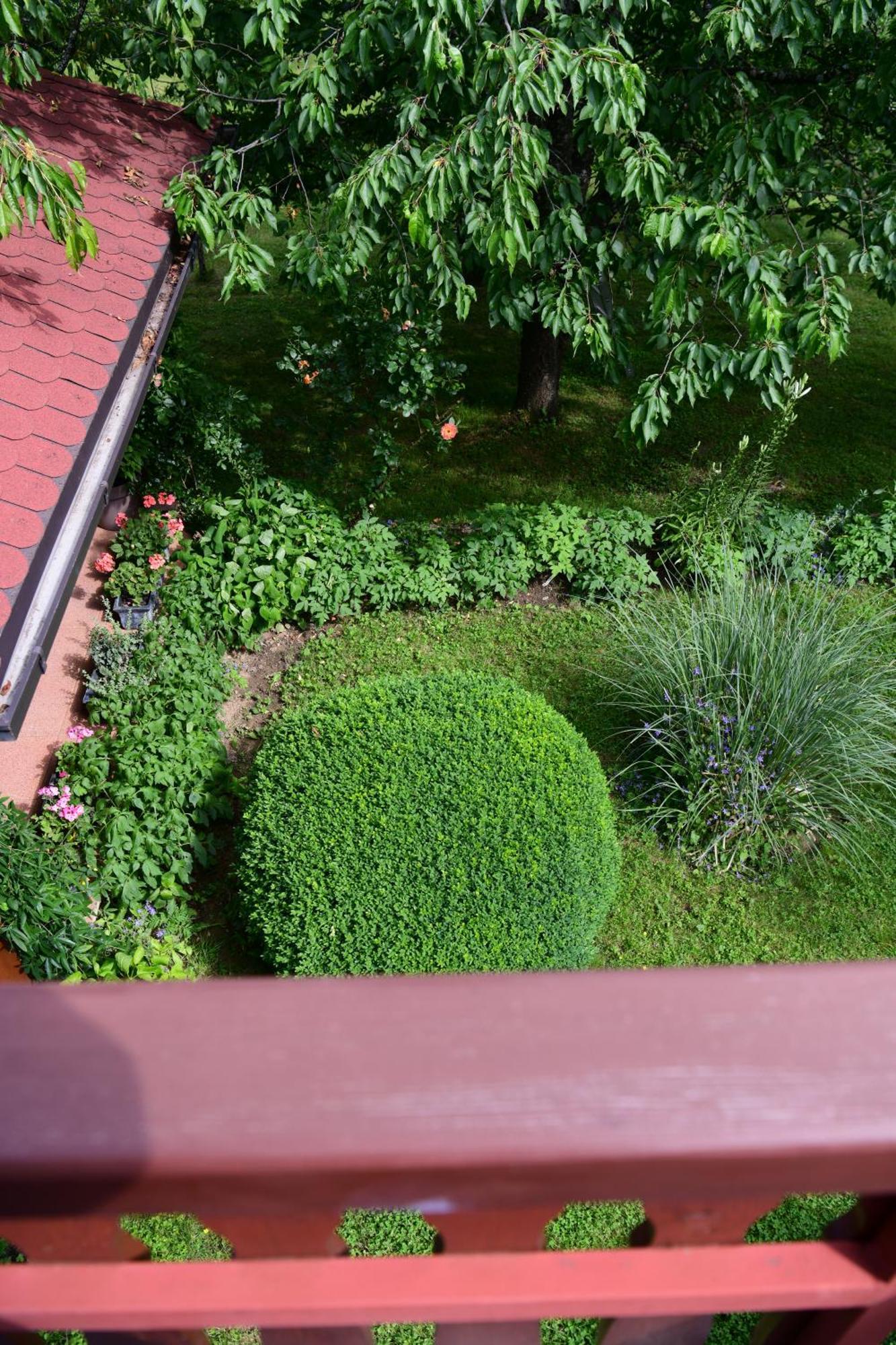 סליסטה דרזניקו Apartment And Rooms Ivancica מראה חיצוני תמונה